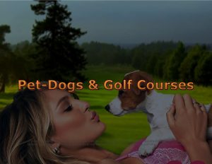 Force Of Nature -- Death & Illness -- 2019 01 09 -- Dogs -- Golf Dog Seizures -- Amherst, Nova Scotia -- CARDS -- 1A-1
