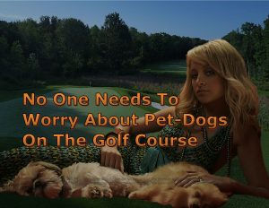 Force Of Nature -- Death & Illness -- 2019 01 09 -- Dogs -- Golf Dog Seizures -- Amherst, Nova Scotia -- CARDS -- 2-2