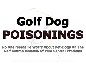 Force Of Nature -- Death & Illness -- 2019 01 09 -- Dogs -- Golf Dog Seizures -- Amherst, Nova Scotia -- CARDS -- Titles 1-1