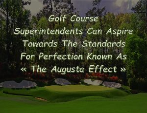 Force Of Nature -- Positive Waves -- Outstanding Idea -- 2020 01 00 -- Augusta National Golf Club -- The Quest For Perfection -- CARDS -- 1-5