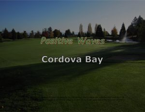 Force Of Nature -- Positive Waves -- Outstanding Idea -- 2020 03 00 -- Cordova Bay -- Responding To Chinese Coronavirus -- CARDS -- 1-2