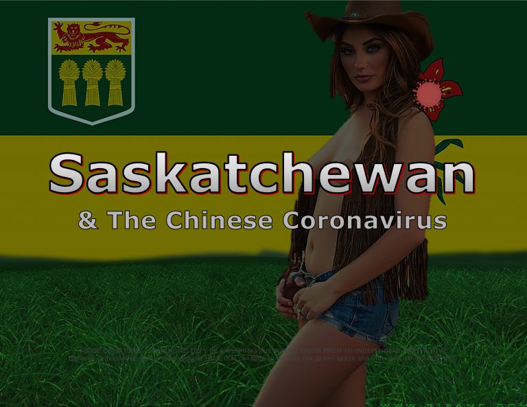 Force Of Nature -- Saskatchewan Conspiracy -- 2020 05 01 -- COVID-19 -- Lawn Care Co See Minimal Effect -- CARDS -- 1-4