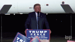 Force Of Nature -- U.S. -- The Era Of Trump -- Drain The Swamp -- GIF (4)